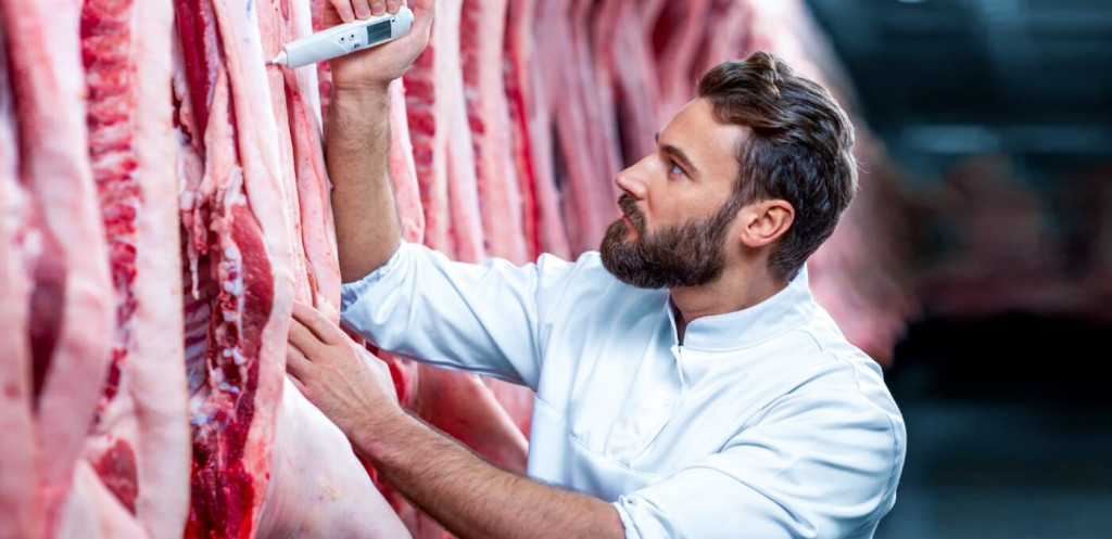 Qualitätskontrolle in der Fleischverarbeitung: Mann misst die Temperatur von hängenden Fleischstücken für optimale Frische.